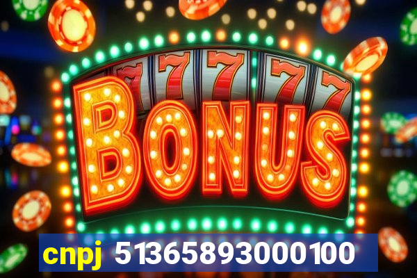 cnpj 51365893000100